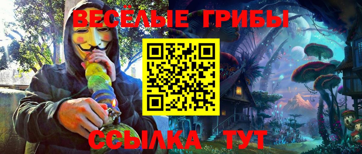 Псилоцибиновые грибы MAGIC MUSHROOMS Балашов