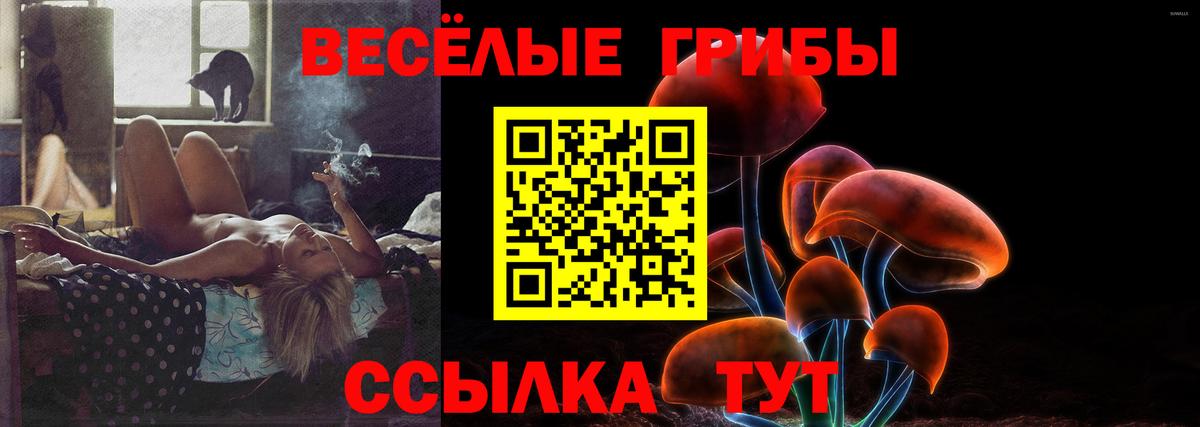 Галлюциногенные грибы Cubensis  Вход с VPN  Балашов 