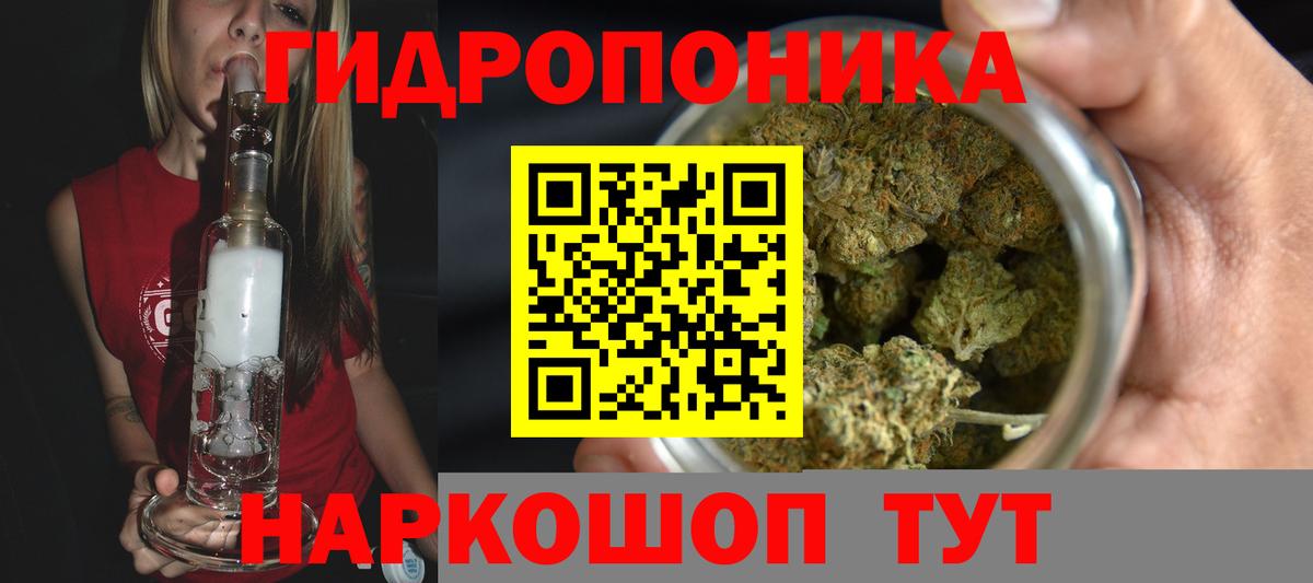 Бошки марихуана планчик  Вход с VPN  Конопля LSD WEED  Бошки марихуана LSD WEED  Балашов  Канабис тримм 